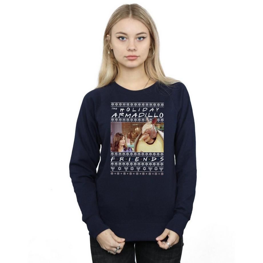Friends Holiday Armadillo Sweatshirt  
