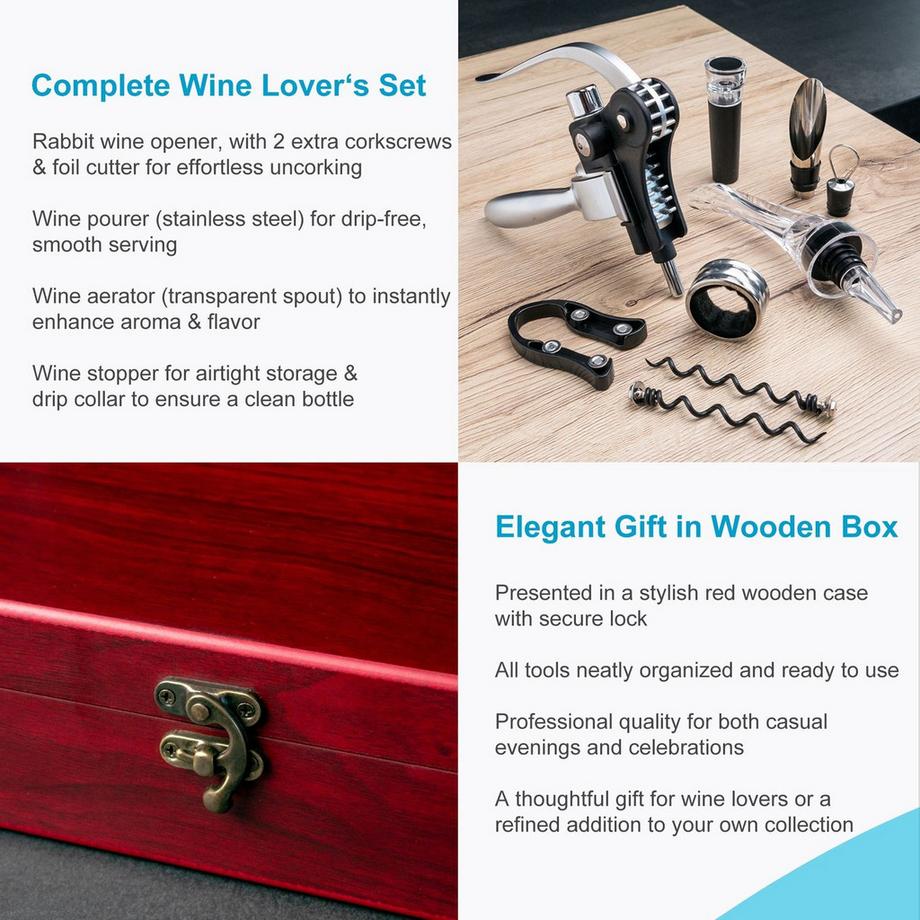 Intirilife Set Da Sommelier Con Apribottiglie, Cavatappi E Versatore  