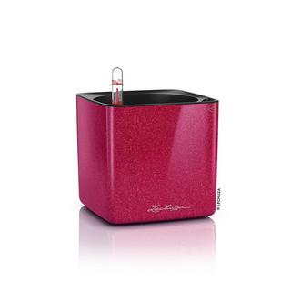 Lechuza CUBE Glossy Kiss all-in-one  