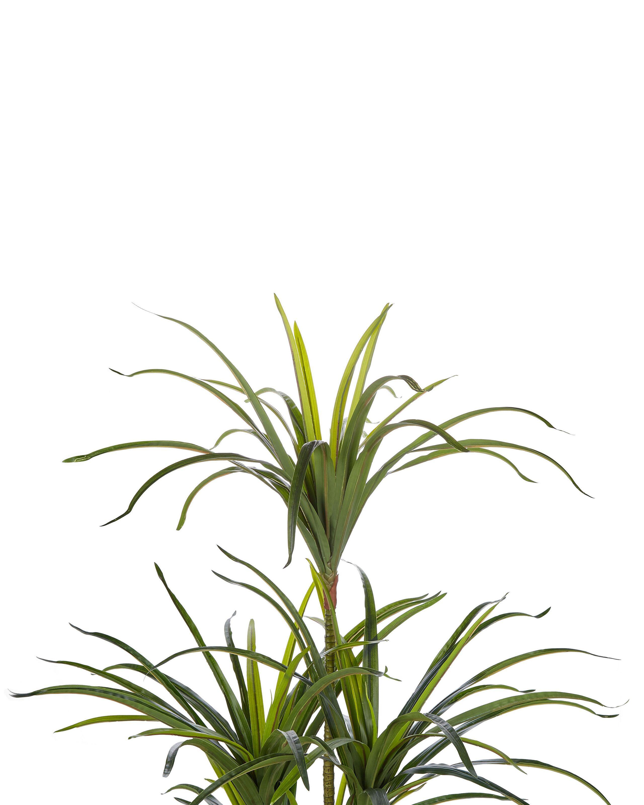 Beliani Pianta artificiale en Materiale sintetico Moderno DRACAENA ANITA  