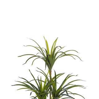 Beliani Pianta artificiale en Materiale sintetico Moderno DRACAENA ANITA  