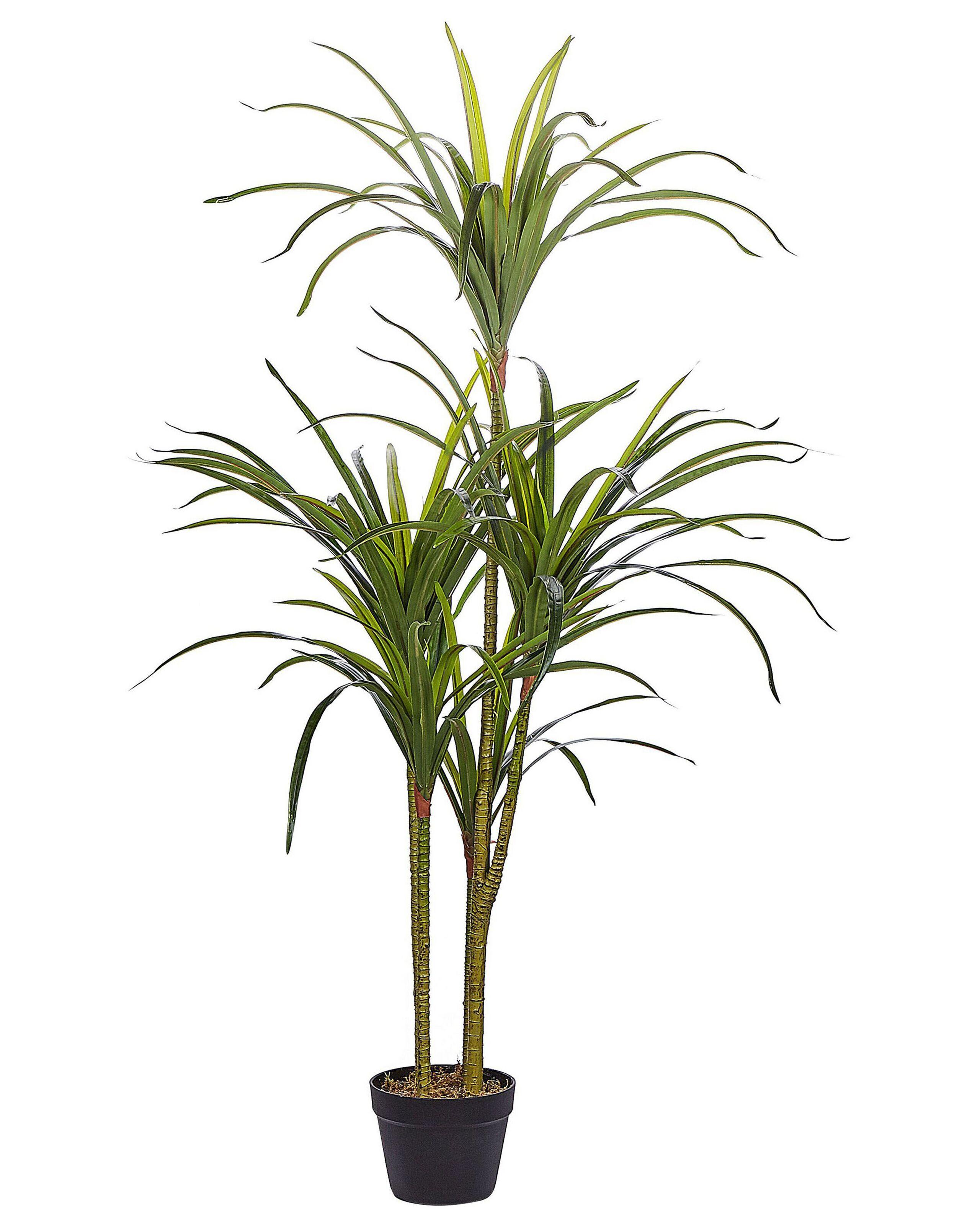 Beliani Plante artificielle en Matière synthétique DRACAENA ANITA  