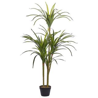 Beliani Pianta artificiale en Materiale sintetico Moderno DRACAENA ANITA  