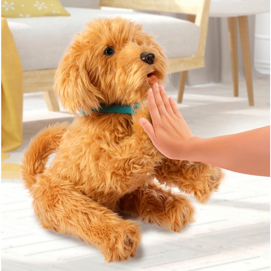 My Fuzzy Friends  Meine flauschigen Freunde Moji Labradoodle 