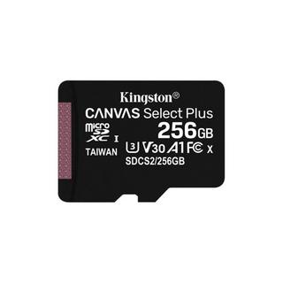 Kingston  Kingston Technology Scheda micSDXC Canvas Select Plus 100R A1 C10 da 256GB confezione singola senza adattatore 