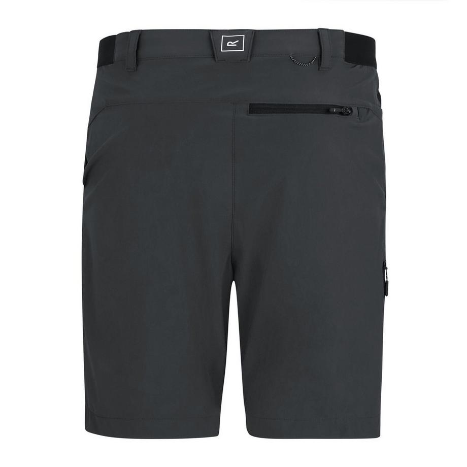 Regatta Reise-Shorts mit Insektenabwehr und UPF 50+  