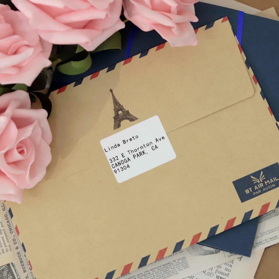 Phomemo hermoetiketten für M110/M120/M150/M200/M220/M221 – 3 Rollen  