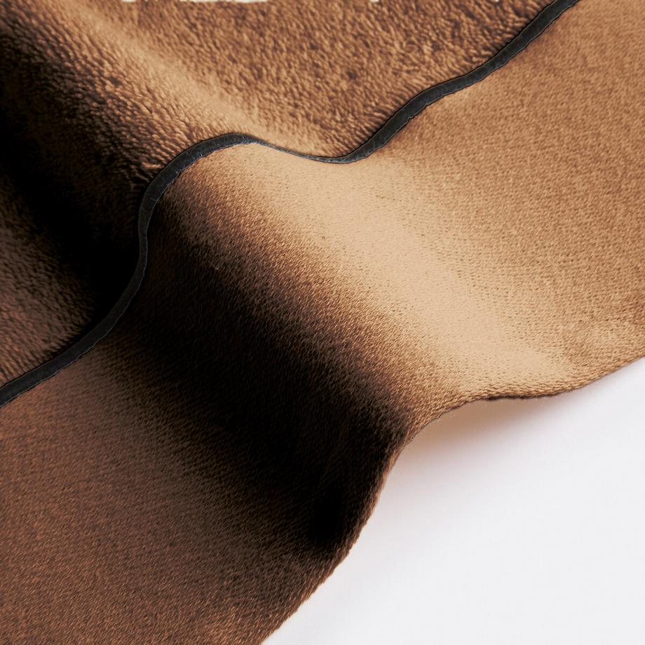 La Redoute Intérieurs Lot 2 serviettes de toilette en coton peigné 675g/m2  