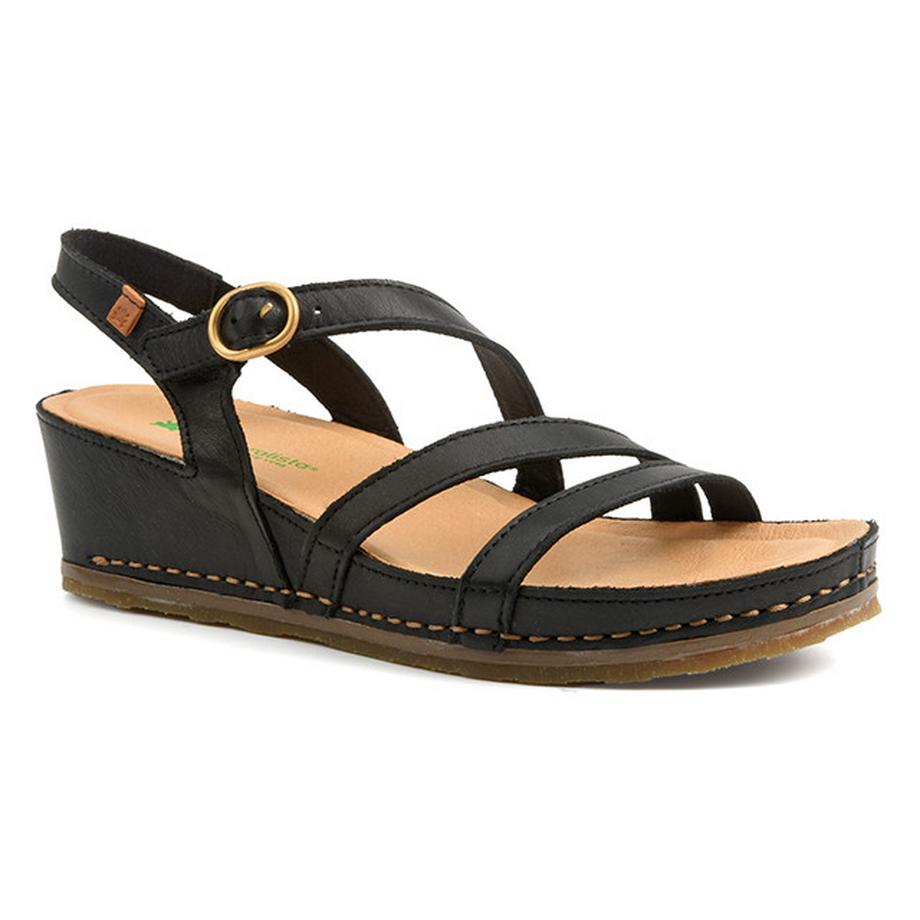 PICUAL N5855-40
