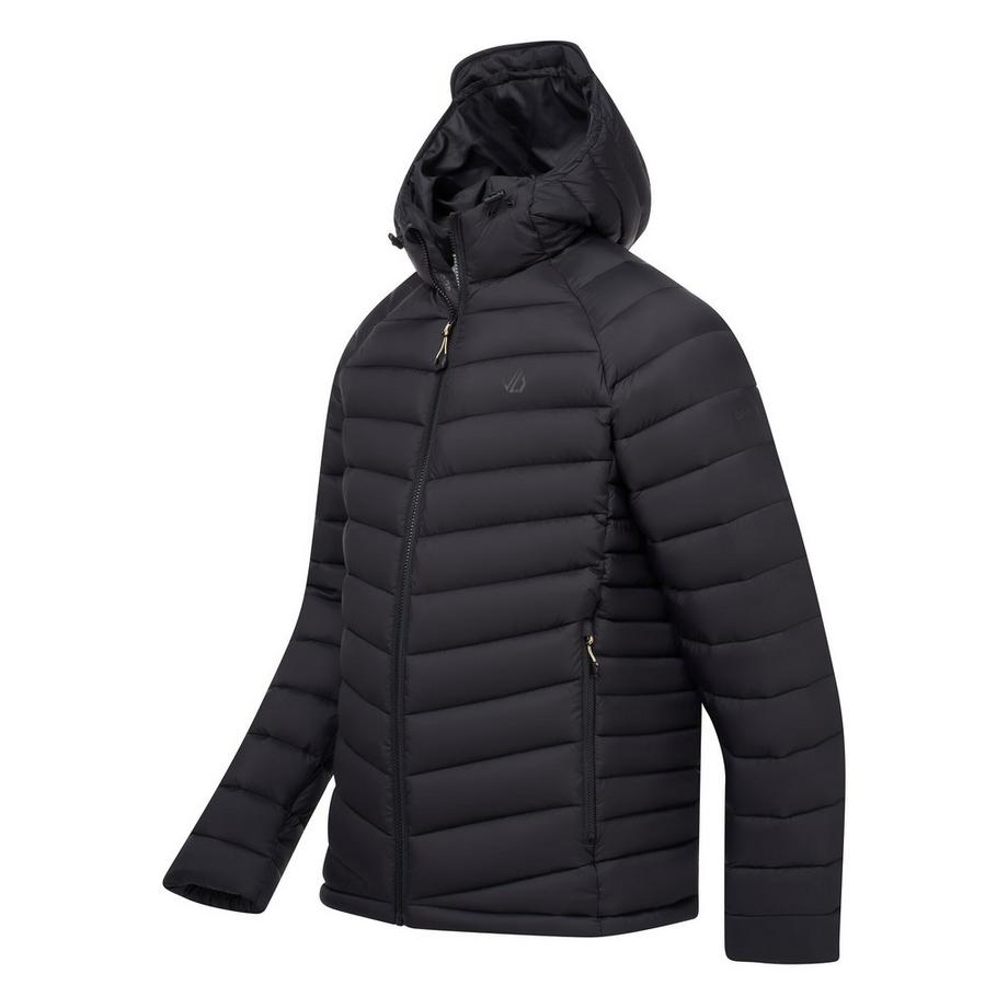 Dare 2B Torrek Mountain Giacca Imbottita con Cappuccio  