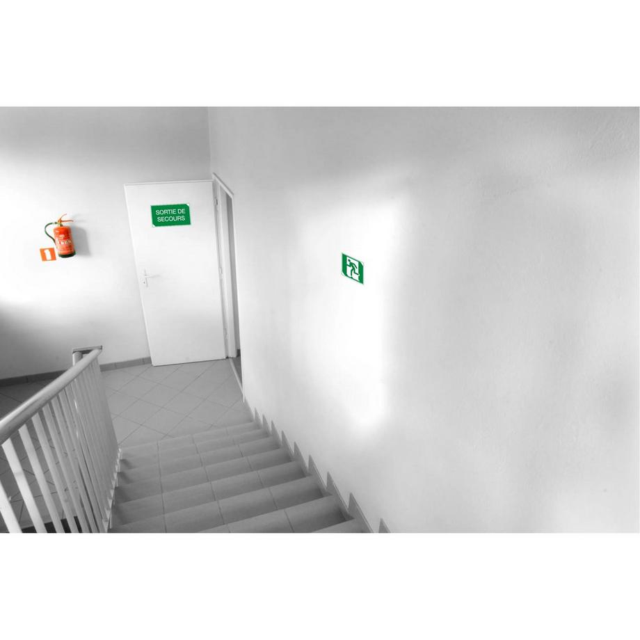 Exacompta Cartello adesivo 20x20cm USCITA DI EMERGENZA frecia sinistra  