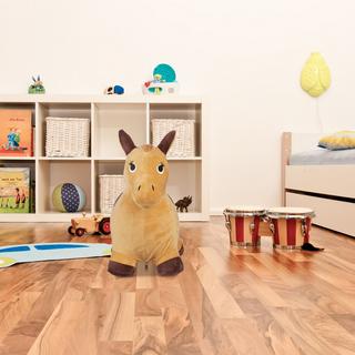 Northio  Cavallo da salto con berretto 