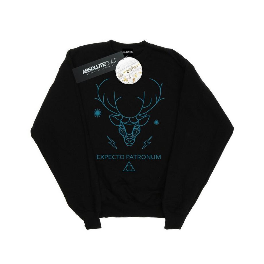 Harry Potter Expecto Patronum Sweatshirt  