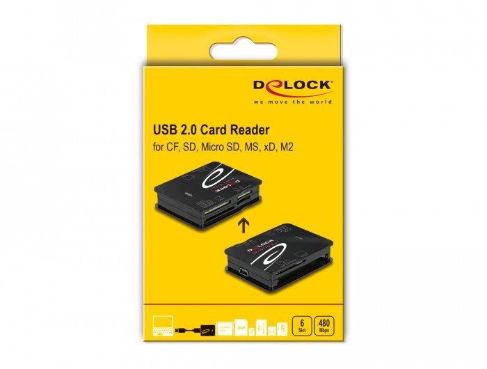 DeLock  DeLOCK 91007 lecteur de carte mémoire USB 2.0 