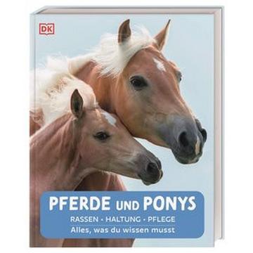 Pferde und Ponys