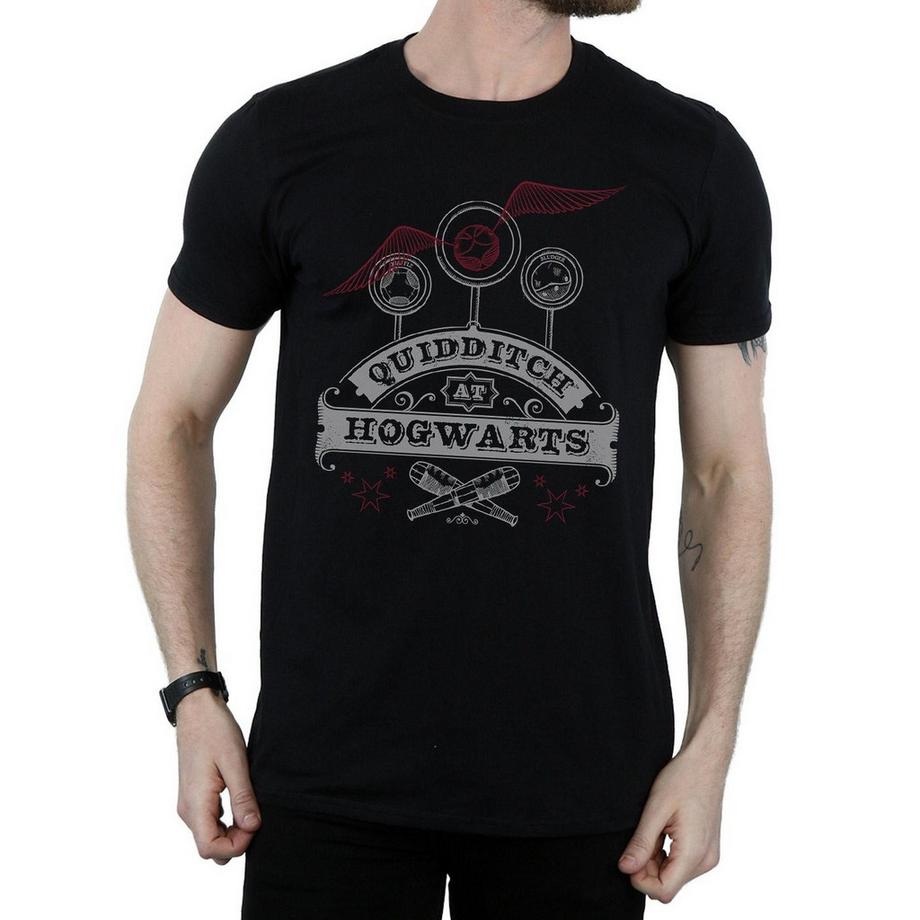 Harry Potter Quidditch At Hogwarts T-Shirt  
