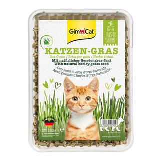 Gimcat  herbes à chats avec graines d’herbe d’orge naturelle 