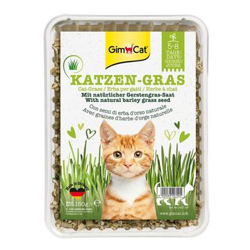 herbes à chats à l'odeur du pré