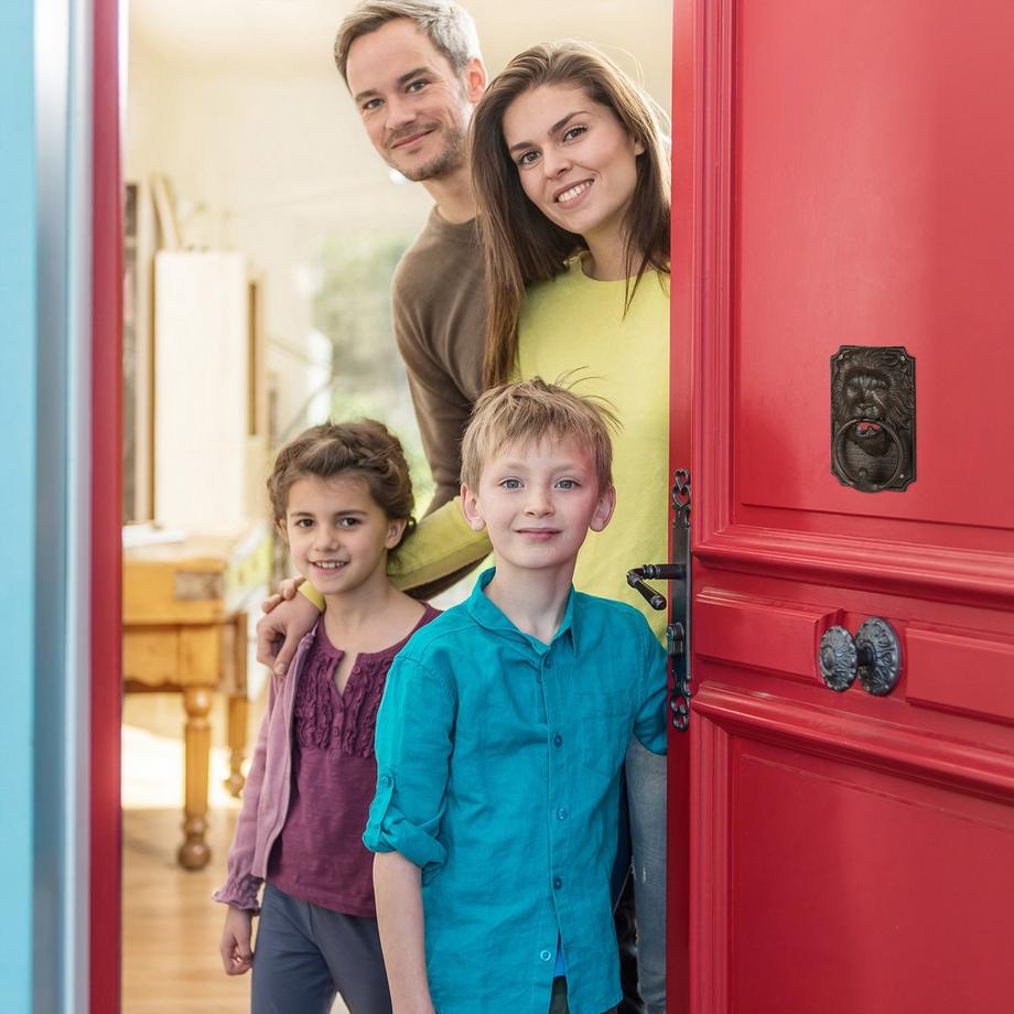 B2X  Türklopfer Löwe 