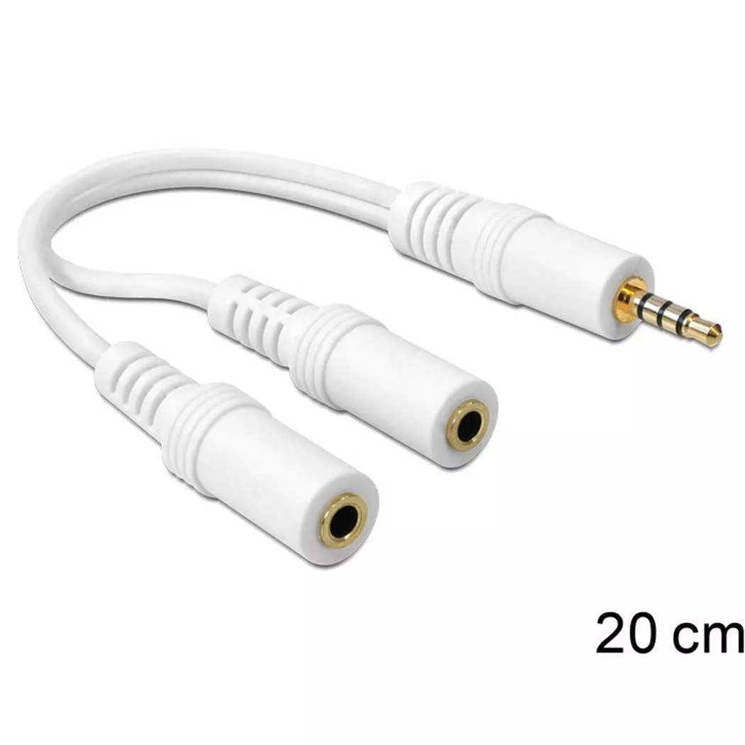 DeLock - DeLOCK 65447 séparateur audio Blanc, One Size