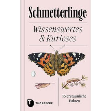 Schmetterlinge