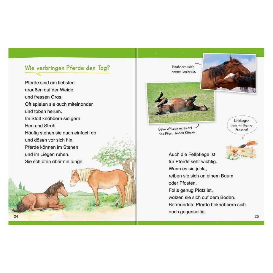 Wieso? Weshalb? Warum? Erstleser, Band 6: Pferde von Kessel, Carola; Voigt, Silke (Illustrationen) Couverture rigide 