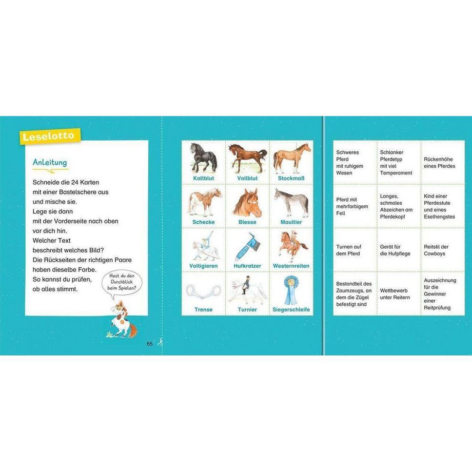 Wieso? Weshalb? Warum? Erstleser, Band 6: Pferde von Kessel, Carola; Voigt, Silke (Illustrationen) Couverture rigide 