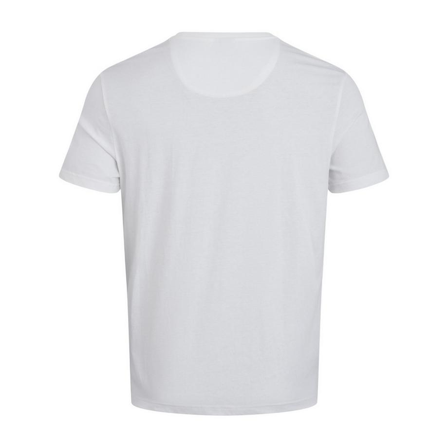 Canterbury  T-ShirtMotiftyle Logo 