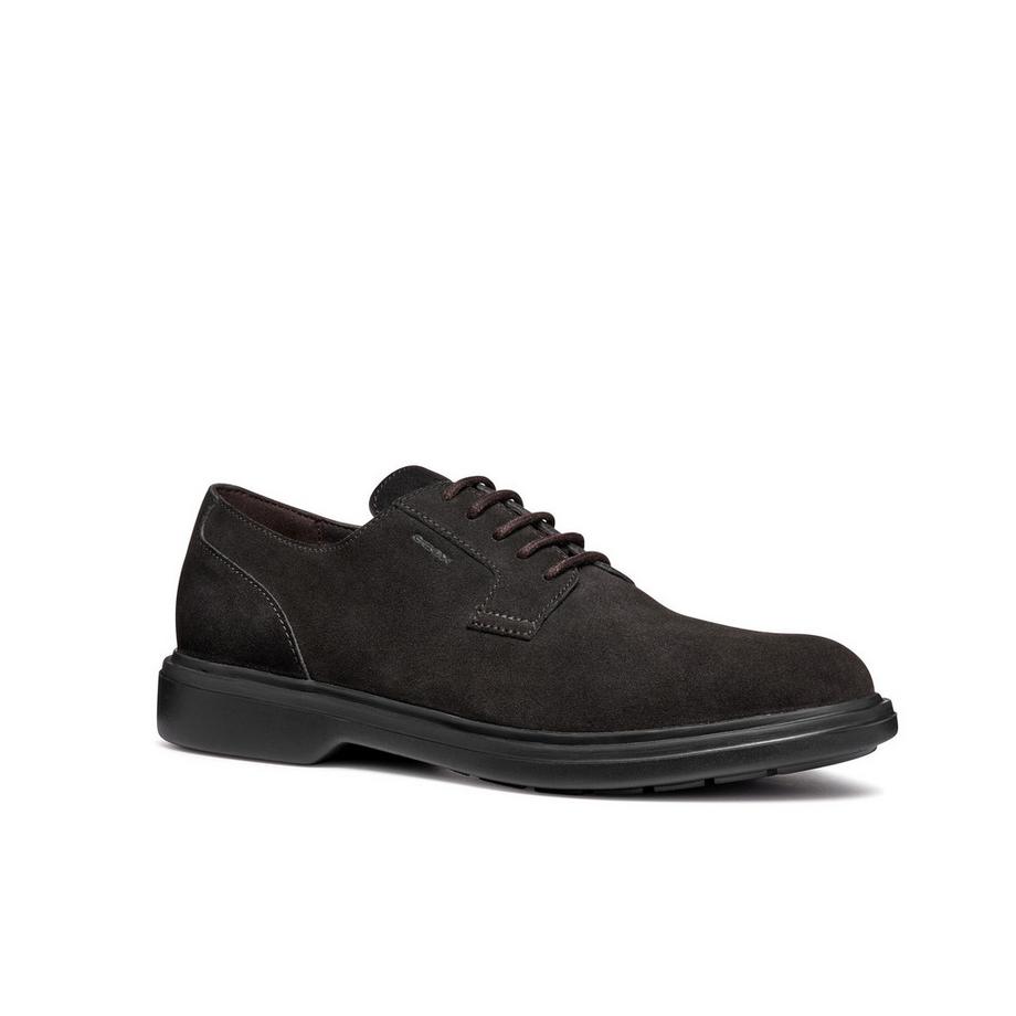 GEOX Ottavio Derby Scarpe  