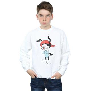 Animaniacs  Sweatshirt 