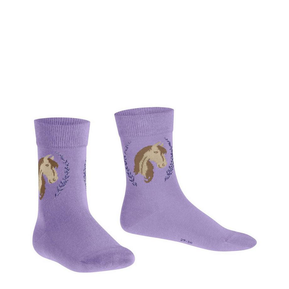FALKE Chaussettes de ville Cheval  
