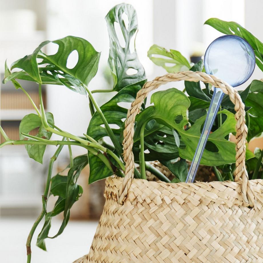 B2X  Palloncini d'acqua - set da 4 