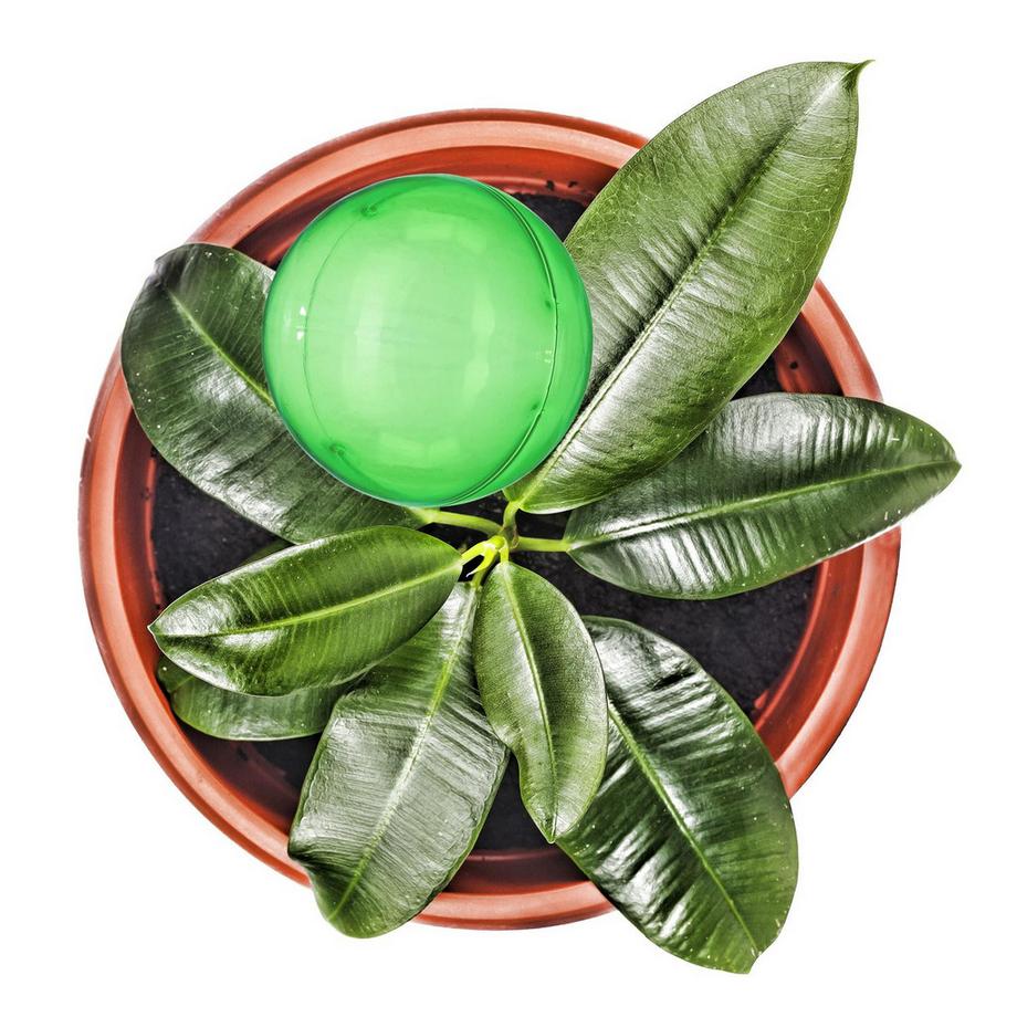 B2X  Palloncini d'acqua - set da 4 