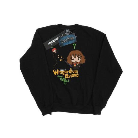 Harry Potter  Sweat WINGARDIUM LEVIOSA 