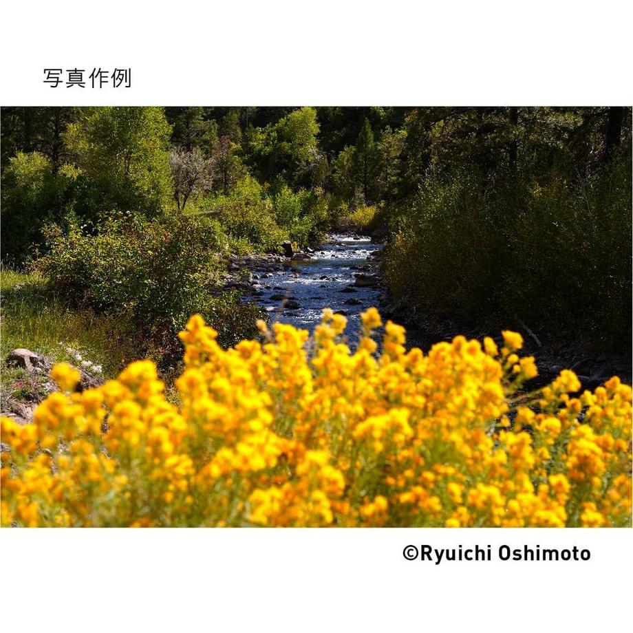 SIGMA  28-70 mm f/2.8 DG DN, Sony-E 