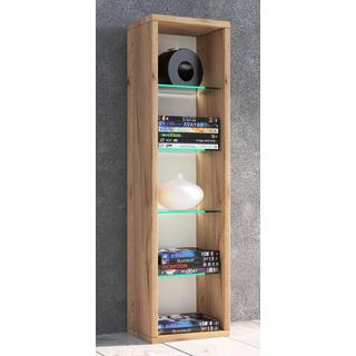 VCM Holz CD DVD Stand Aufbewahrung Standregal Bücherregal Deko Regal Glas Rasato  