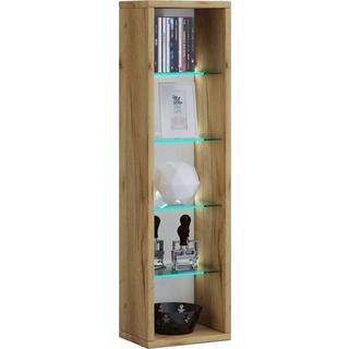 VCM Holz CD DVD Stand Aufbewahrung Standregal Bücherregal Deko Regal Glas Rasato  