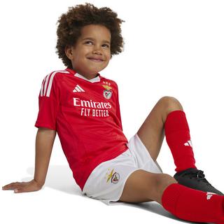 adidas  ensemble de maillot et short domicile enfant benfica lisbonne 2024/25 