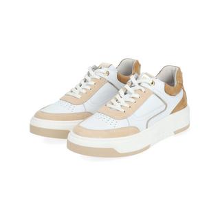 Nero Giardini  Sneaker E409992D 