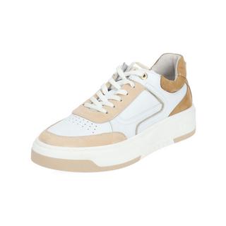 Nero Giardini  Sneaker E409992D 