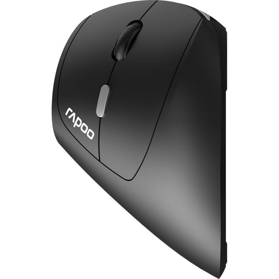 rapoo  RAPOO Maus EV250 Kabellos 2,4 GHz Schwarz 