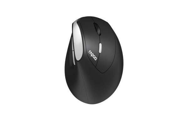 rapoo  Mouse RAPOO EV250 senza fili 2,4 GHz Nero 