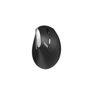 rapoo  EV250 mouse Mano destra RF Wireless Ottico 1600 DPI 