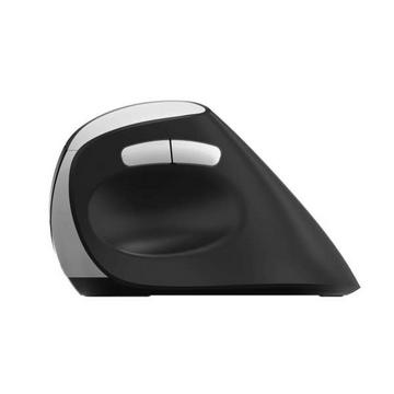 Mouse RAPOO EV250 senza fili 2,4 GHz Nero