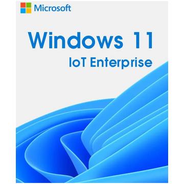 Windows 11 IoT Entreprise 2024 LTSC - Lizenzschlüssel zum Download - Schnelle Lieferung 7/7
