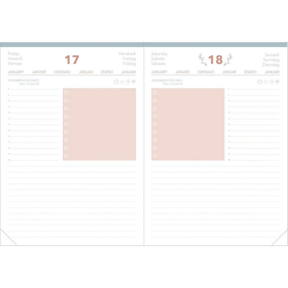 QUO-VADIS DAILY 21 COLOR ML Pastel  