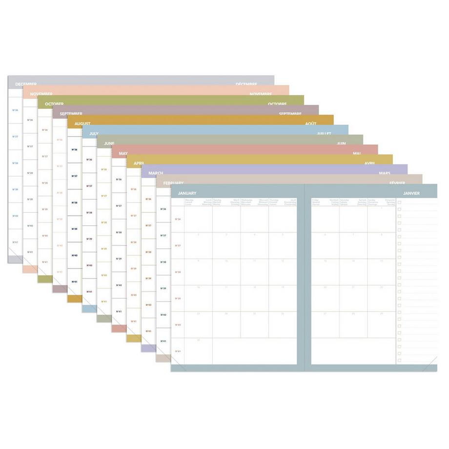 QUO-VADIS DAILY 21 COLOR ML Pastel  