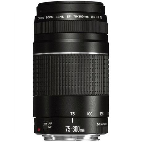 Canon  EF 75-300mm / 4.0-5.6 III 