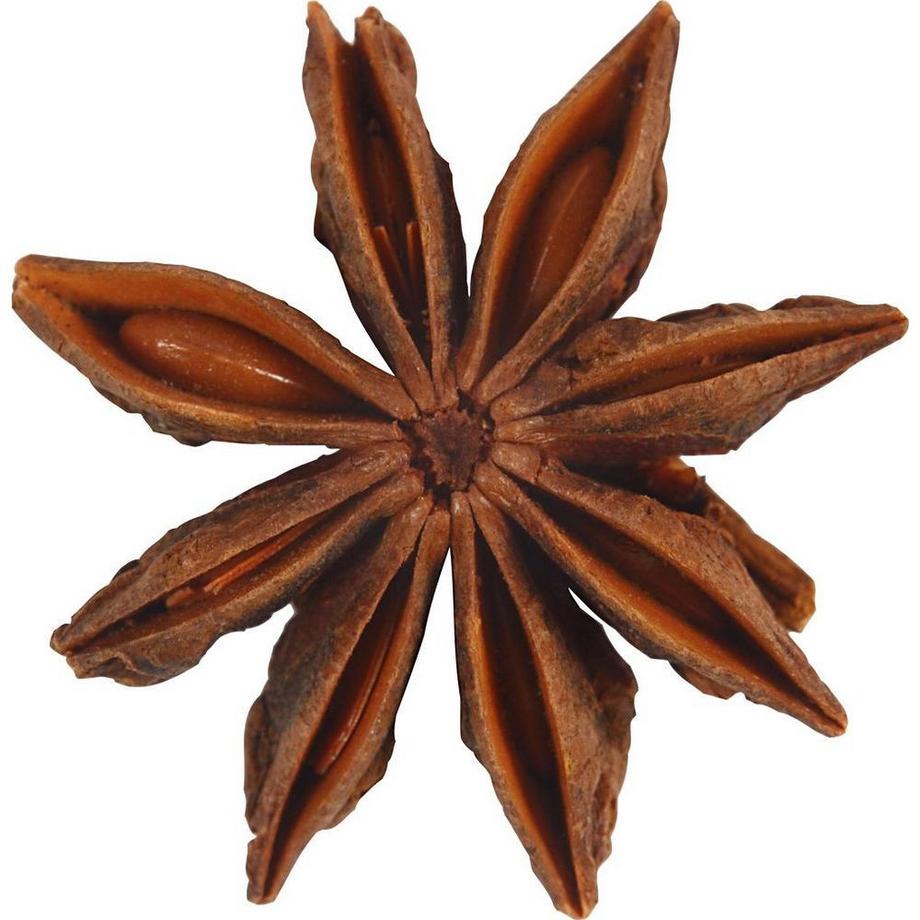 Creativ Company  Anissterne 