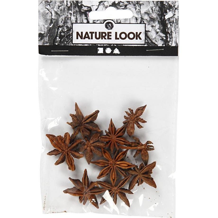 Creativ Company  Anissterne 